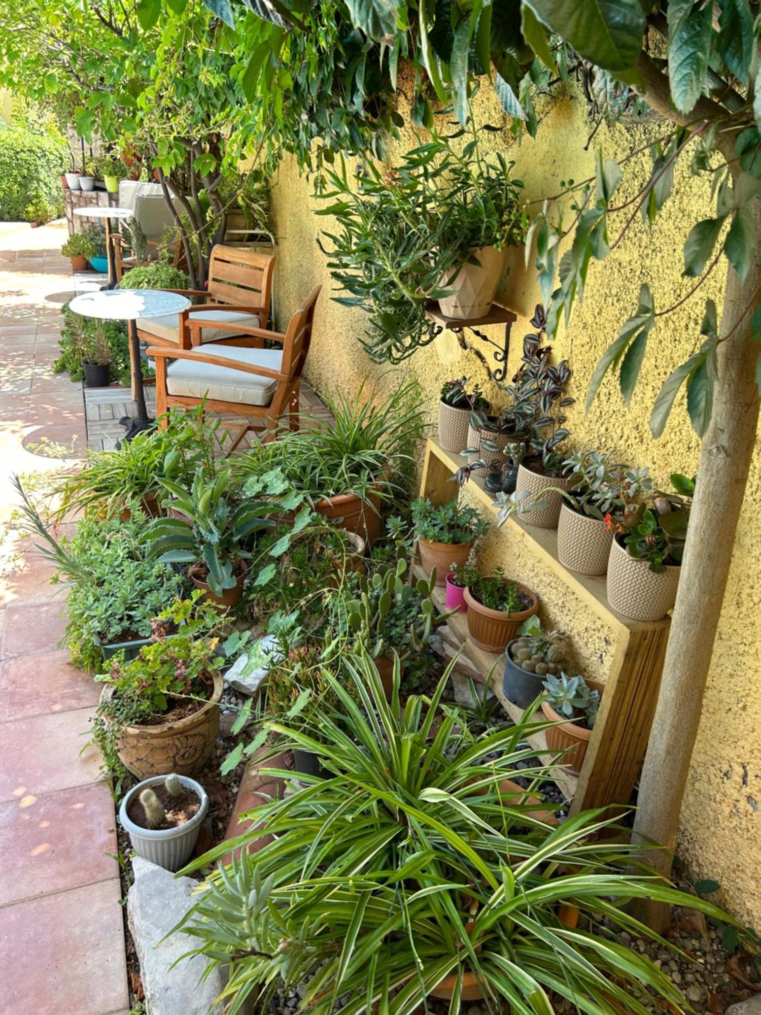 גוג'ק Villa Danlin Hotel מראה חיצוני תמונה