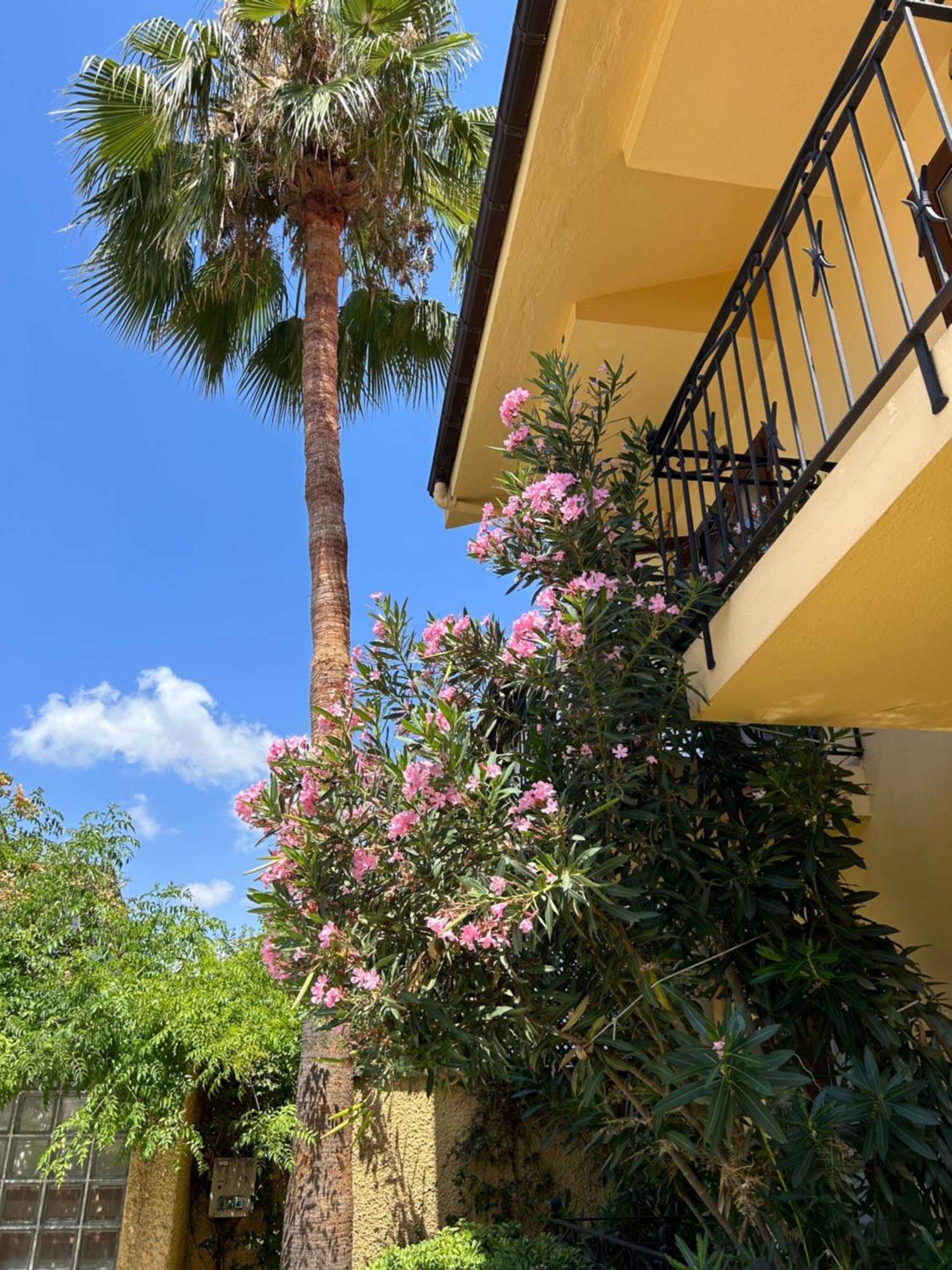גוג'ק Villa Danlin Hotel מראה חיצוני תמונה