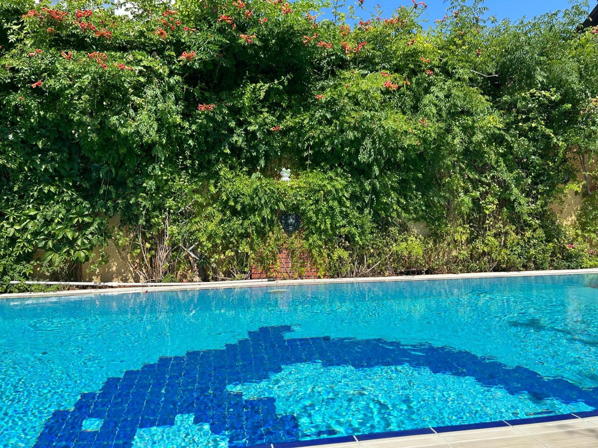 גוג'ק Villa Danlin Hotel מראה חיצוני תמונה