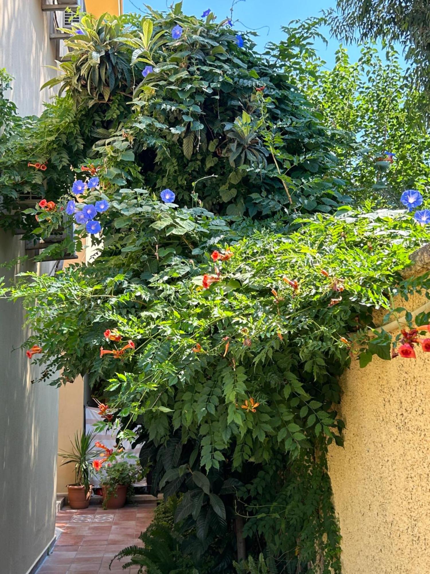 גוג'ק Villa Danlin Hotel מראה חיצוני תמונה