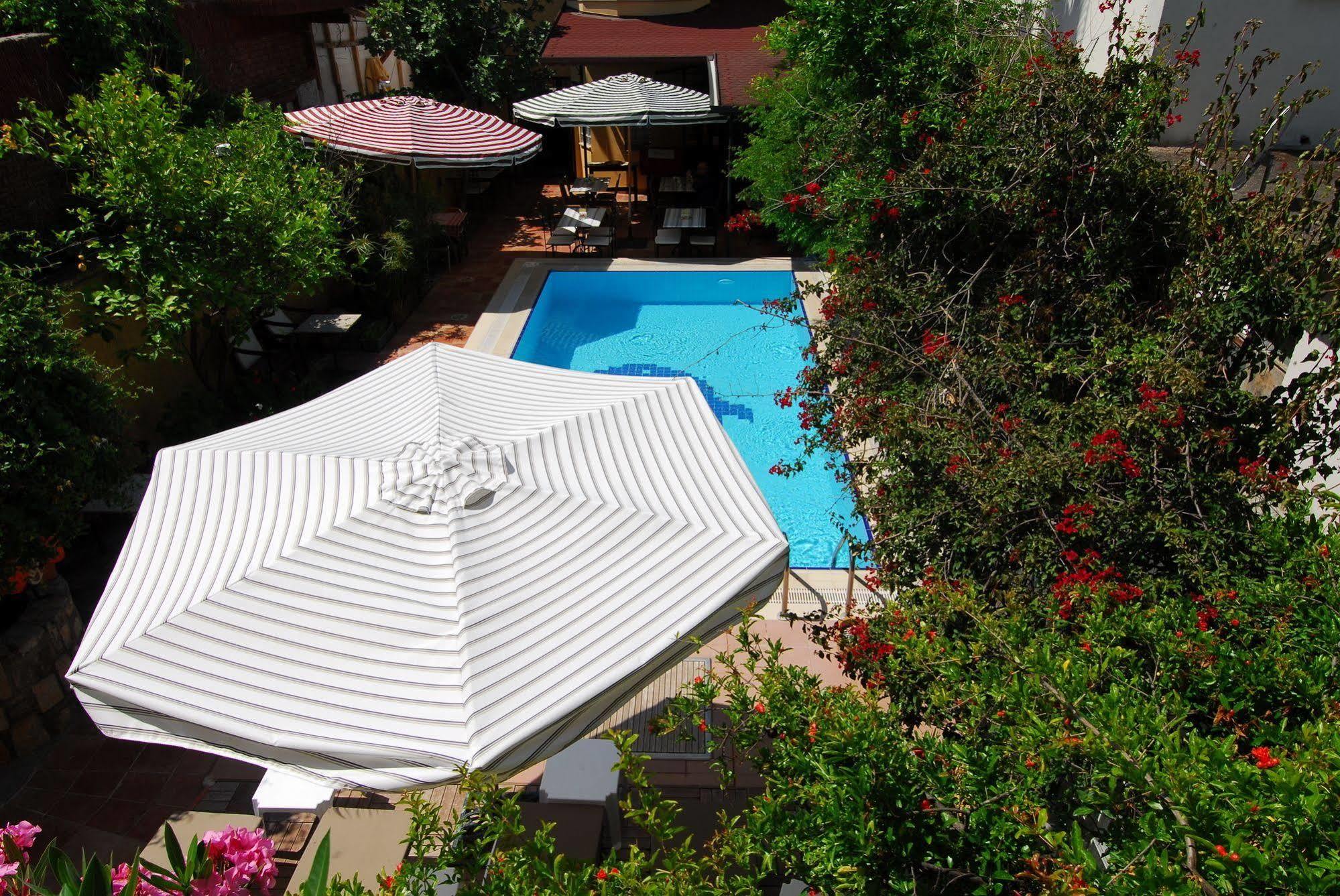 גוג'ק Villa Danlin Hotel מראה חיצוני תמונה