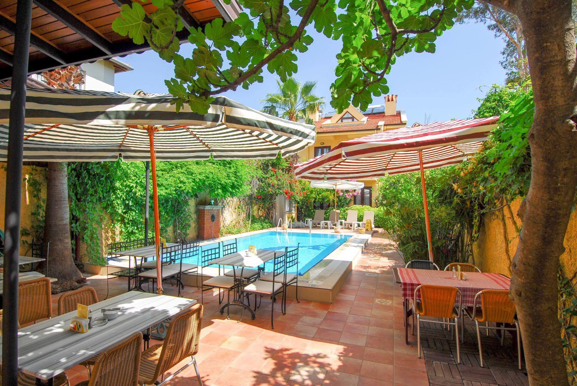 גוג'ק Villa Danlin Hotel מראה חיצוני תמונה